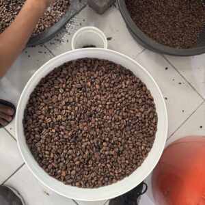 Bali Coffee Beans - Whole Beans